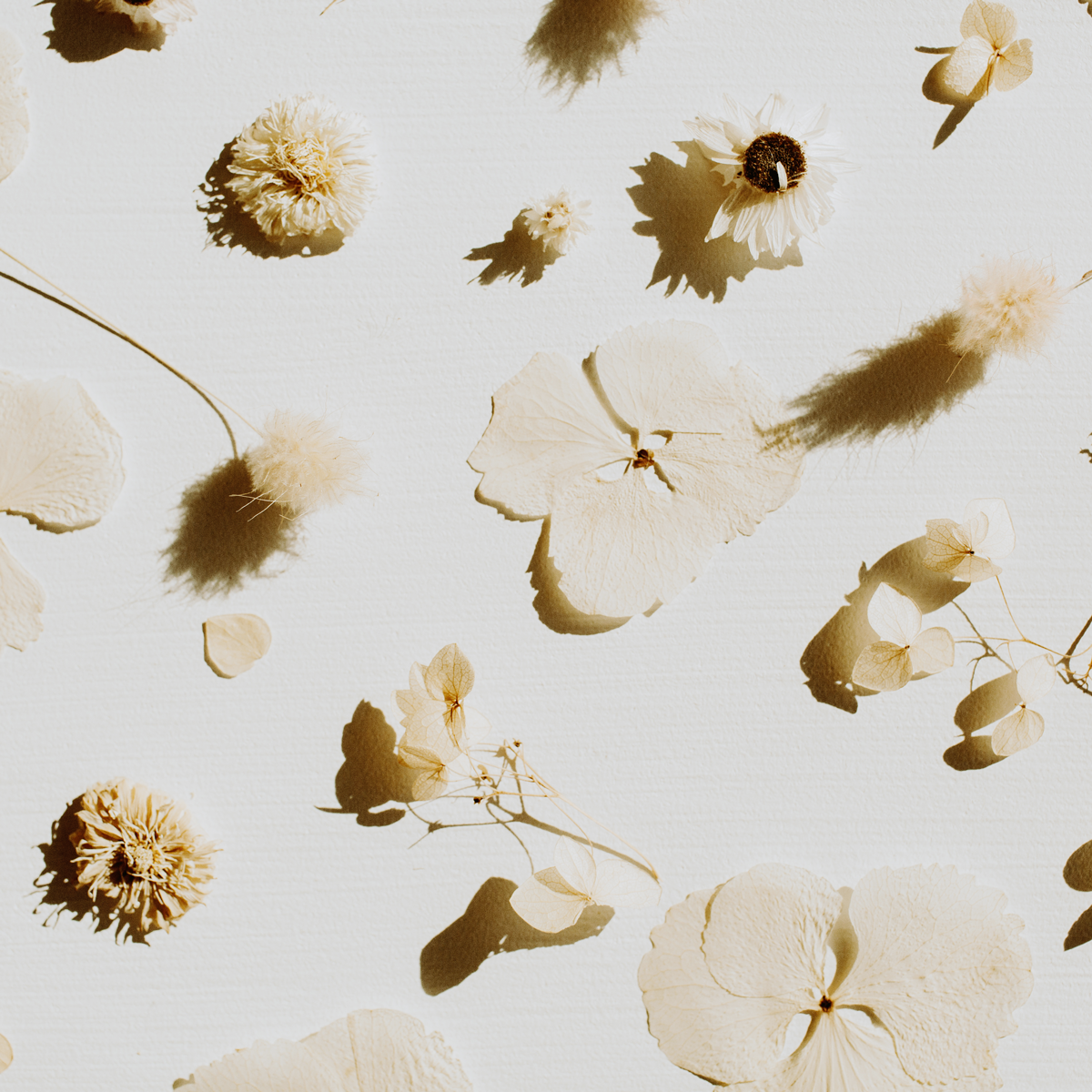 Apricus-Candle-Company_About_Nature