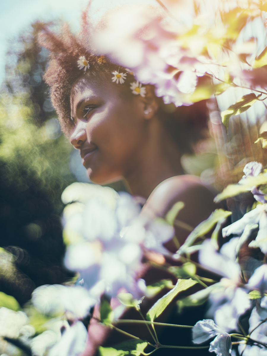 Apricus-Candle-Company_Daydream-Scent